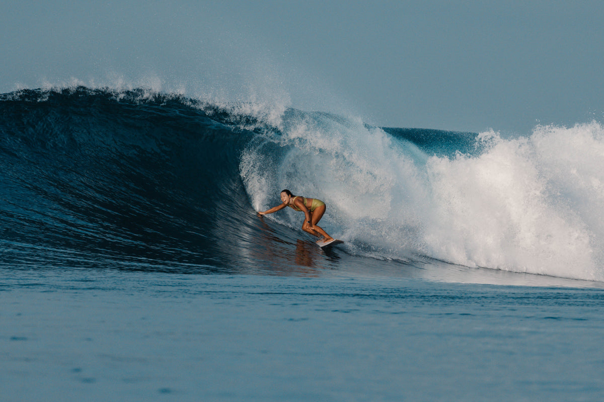 MENTAWAIS INTERMEDIATE 2