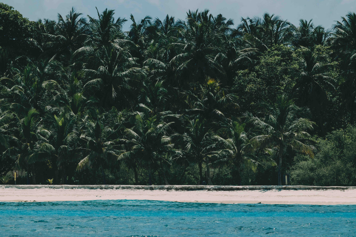 NORTH AND SOUTH MALÉ